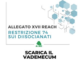 PP_Vademecum-Diisocianati2023